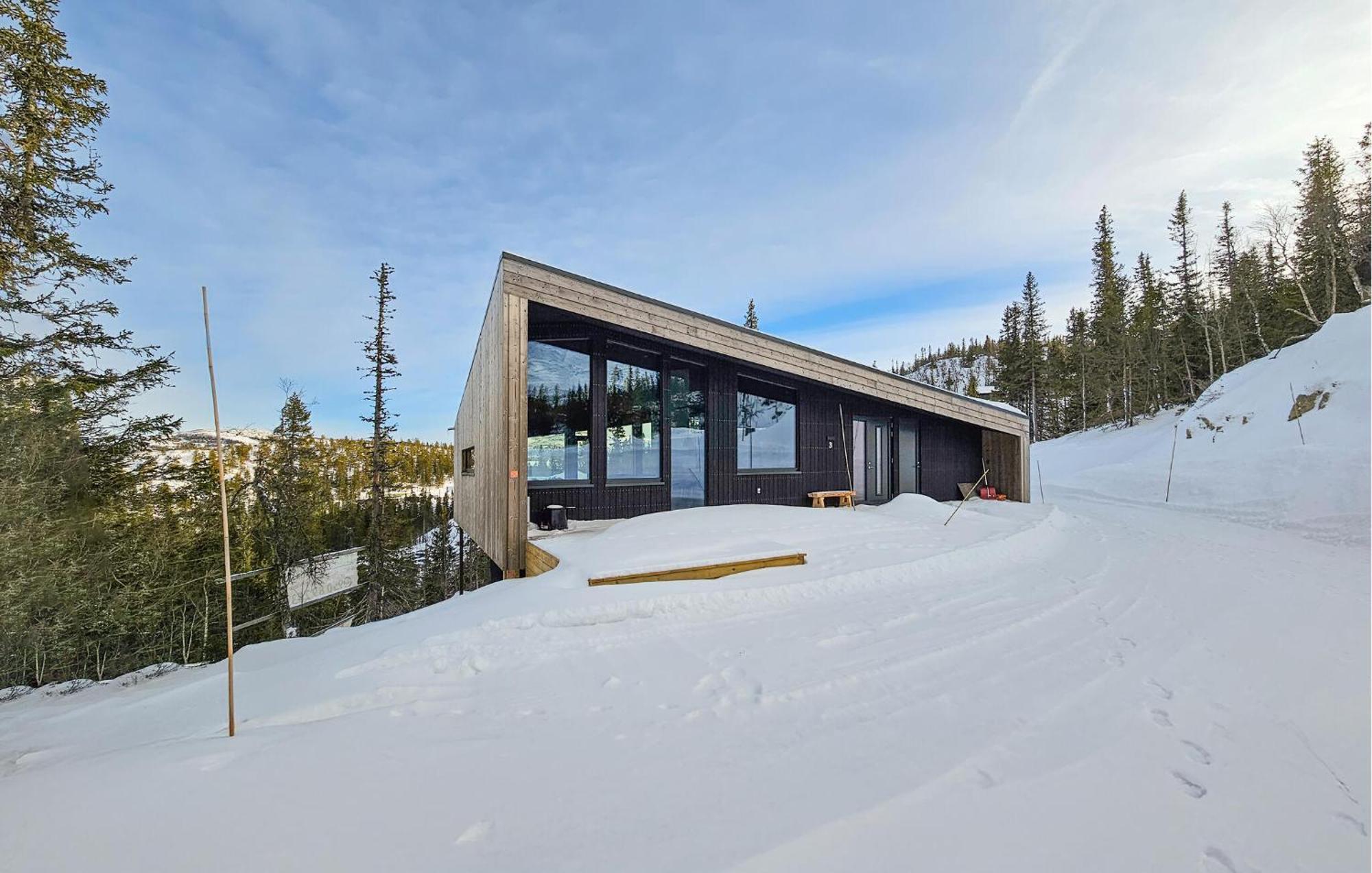 Awesome Home In Rjukan With Sauna Экстерьер фото